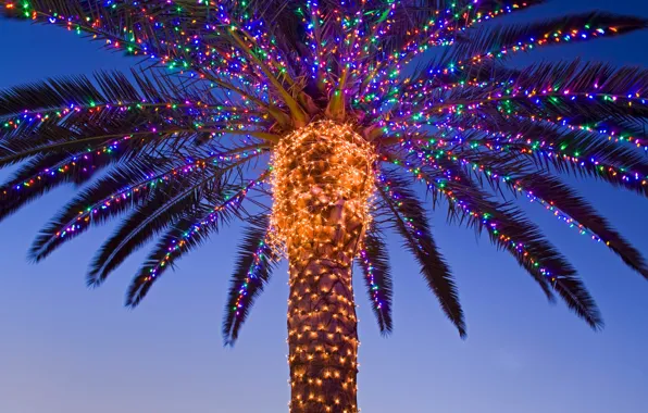 Palma, new year, Christmas, CA, USA, garland, Temecula valley