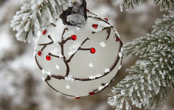 Picture winter, balls, snow, branches, holiday, balls, new year, Christmas