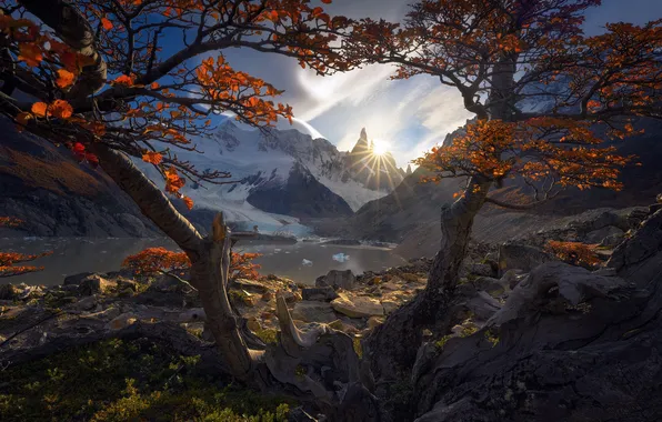 Autumn, trees, mountains, Andes
