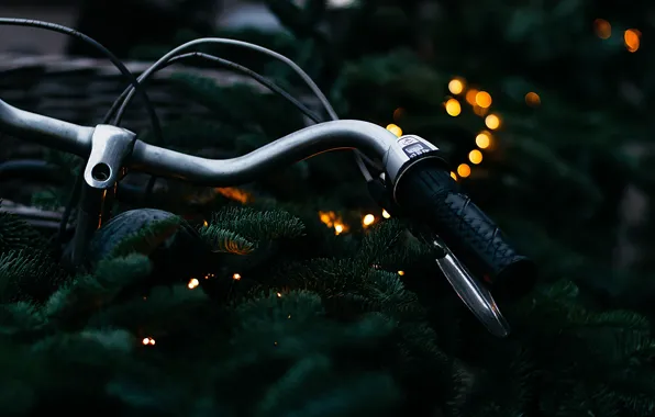 Branches, bike, the dark background, the wheel, needles
