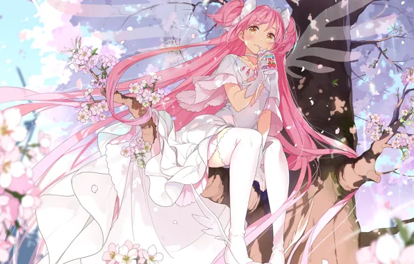Picture girl, fantasy, mahou shoujo madoka magica, pink hair