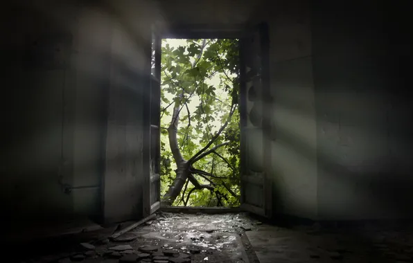 Picture nature, room, the door
