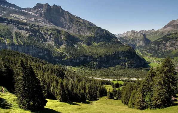 Picture summer, grass, trees, mountains, rocks