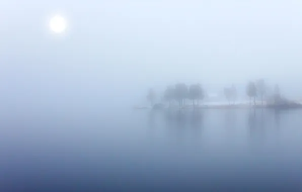 Fog, lake, island