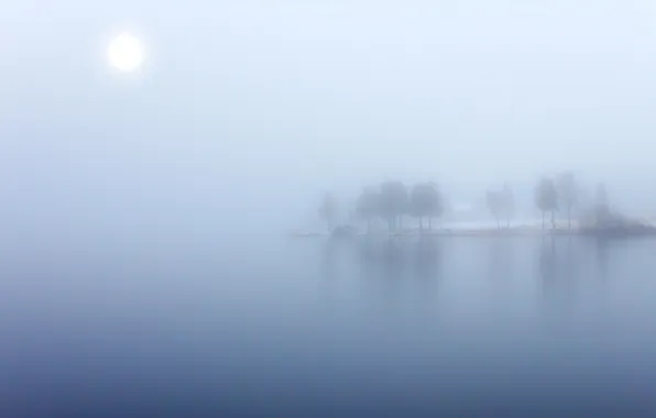 Picture fog, lake, island