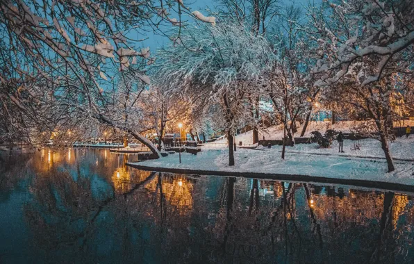 Picture winter, snow, trees, landscape, nature, pond, Park, the evening