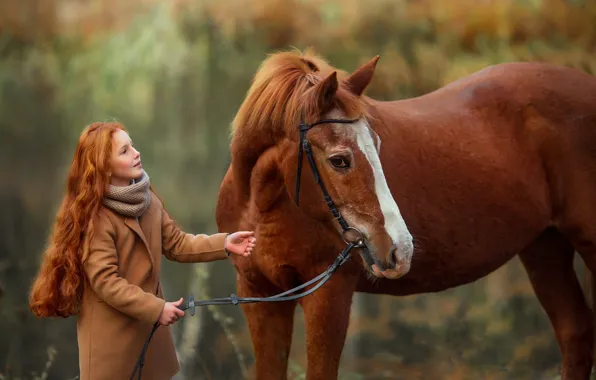 Picture girl, horse, red, friendship, horse, hair