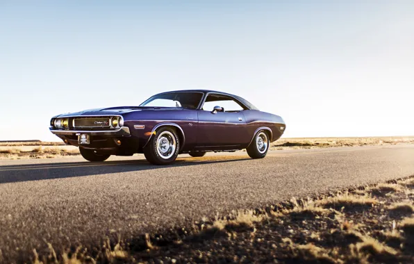 Picture Dodge, Challenger, muscle car, 1970, lunchbox photoworks