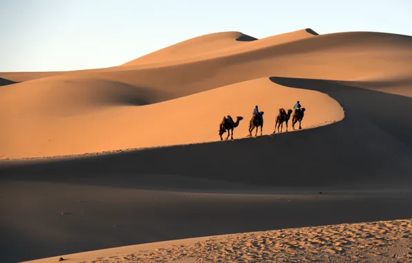 Desert, Sands, Mongolia, Gobi