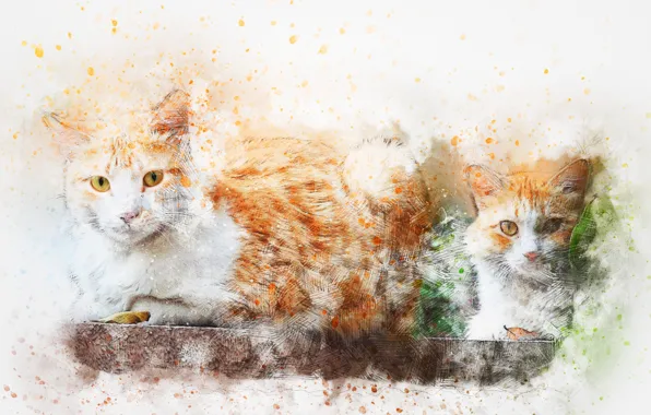 Cats, background, watercolor, art