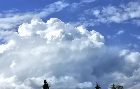 The sky, clouds, nature, Oblako