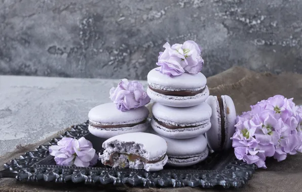 Picture flowers, flowers, violet, macaron, macaroon