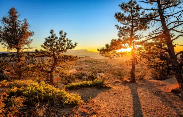 Sunset, Utah, USA, Utah, Bryce Canyon National Park