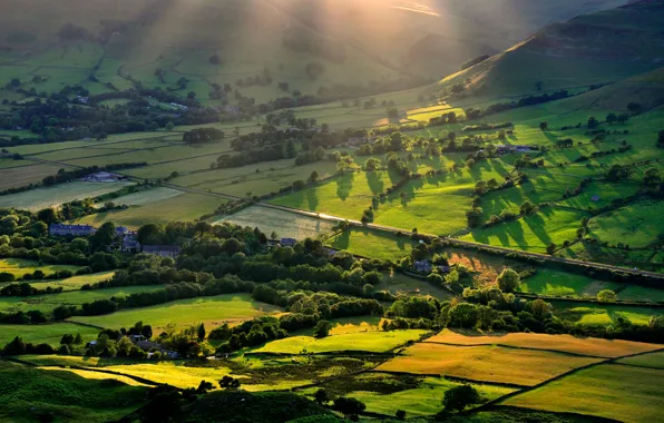 Picture greens, light, hills, field, valley