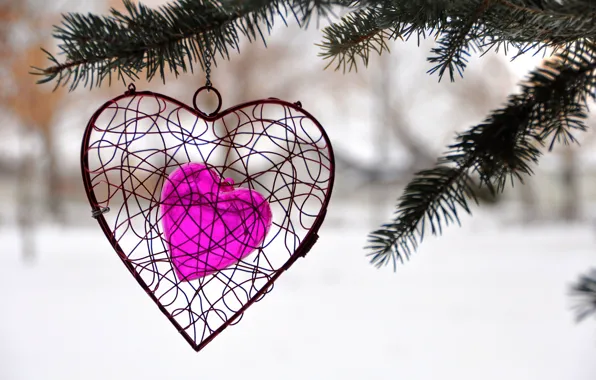 Winter, tree, heart, spruce, decoration, lovers, heart, Holy