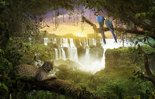 Waterfall, jungle, monkey, leopard, parrots, amazonia