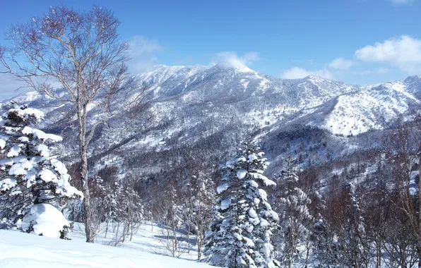 Winter, the sky, snow, trees, landscape, mountains, slope