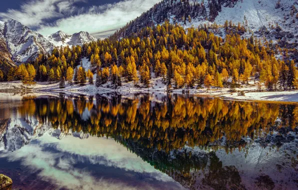 Trees, mountains, lake, reflection, Austria, Alps, Austria, Alps