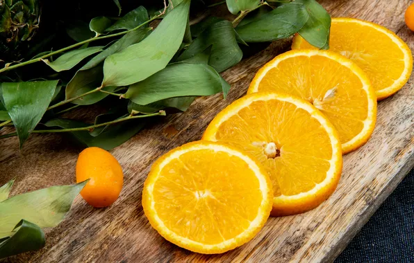 Leaves, Board, oranges, fruit, slices, composition, kumquat