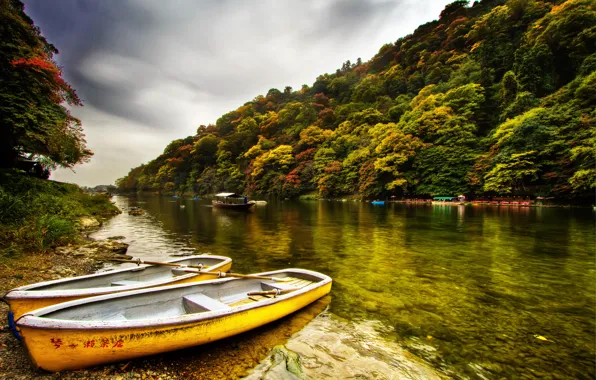 Picture the sky, trees, river, shore, two, boats, Forest, grey