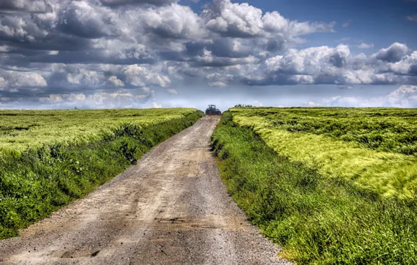Road, field, summer, tractor