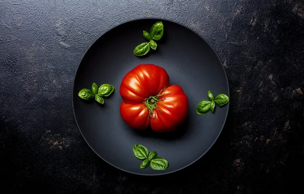 Tomato, pan, Basil