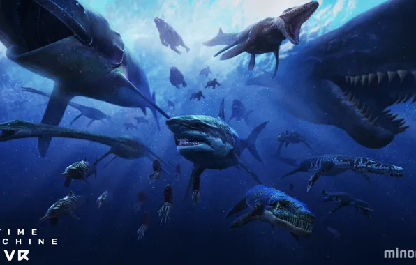 Dinosaurs, sharks, Time Machine VR