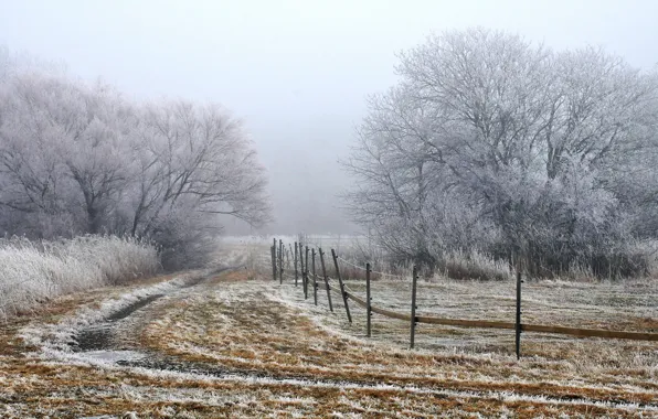 Field, landscape, fog, the fence, morning