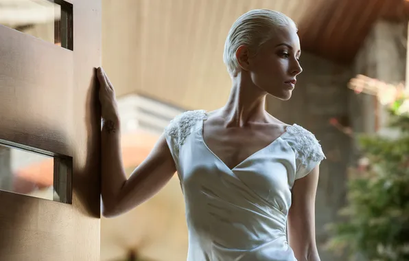 Pose, model, hand, portrait, makeup, dress, the door, hairstyle