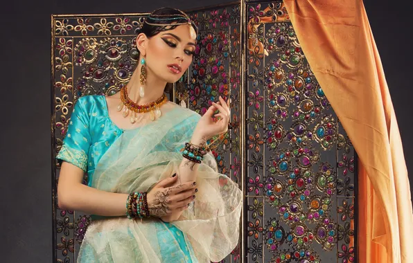 Look, girl, decoration, earrings, hands, makeup, painting, Indian