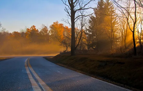 Road, autumn, landscape, morning