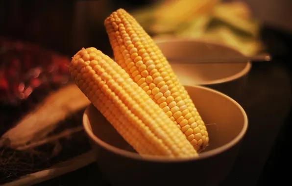 Picture corn, yellow, vegetable