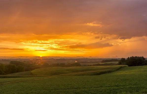 Picture field, clouds, sunrise, valley, horizon, orange sky