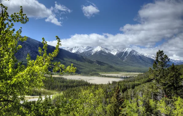 Picture forest, Canada, Albert, Banff National Park, Alberta, Canada, Rocky mountains, Banff