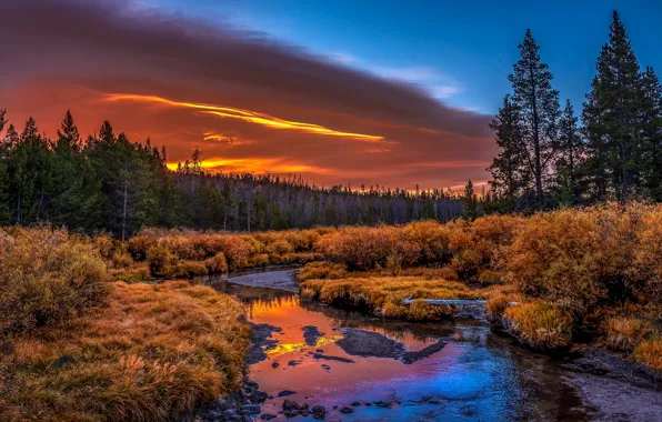 Autumn, forest, the sky, clouds, light, sunset, reflection, river