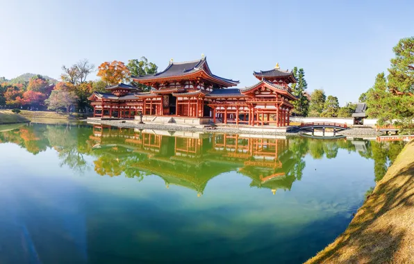 Trees, pond, Park, reflection, Japan, panorama, temple, Japan