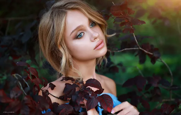 Picture leaves, girl, branches, face, portrait, Denis Lankin, Polina Mihaylovskaya