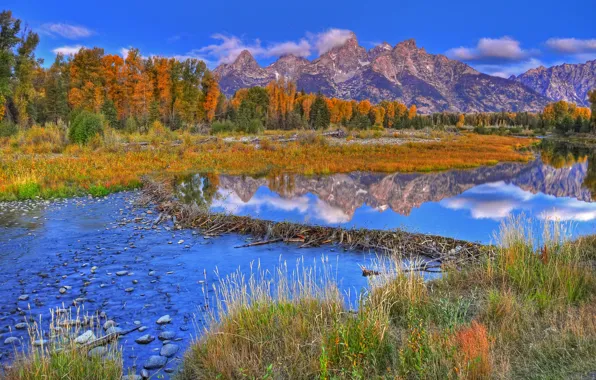 Picture autumn, forest, the sky, mountains, river, dam