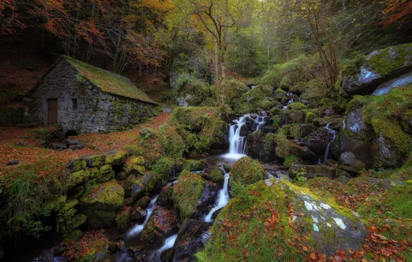 Autumn, forest, stream, stream, hut