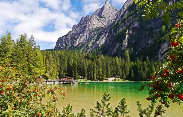 Picture forest, landscape, mountains, nature, lake, photo, Italy, Braies