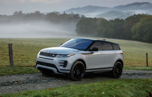 Range Rover, Evoque, P300, HSE, 2019, Black Pack, R-Dynamic