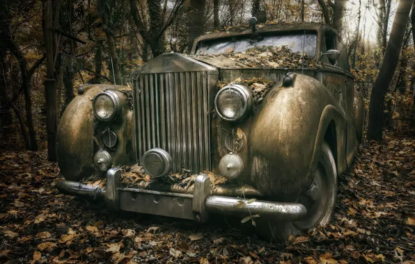 Machine, forest, Rolls Royce