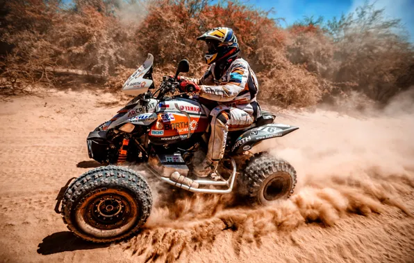 Picture Speed, Race, ATV, Racer, Moto, Yamaha, Rally, Dakar