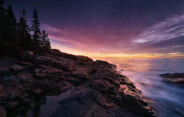 Picture rock, coast, sunset, tree, usa, acadia national park, maine