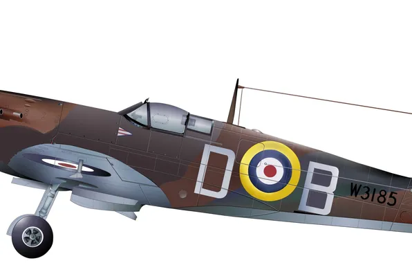 Aircraft, WW2, WWII, Douglas Bader spitfire