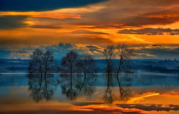 The sky, water, clouds, trees, sunset, clouds, nature, reflection