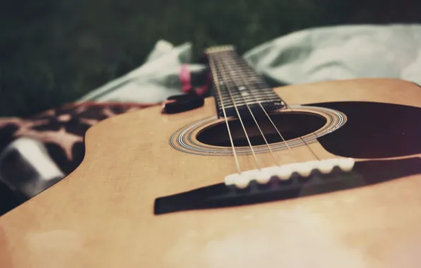 Nature, music, guitar, strings, music, guitar
