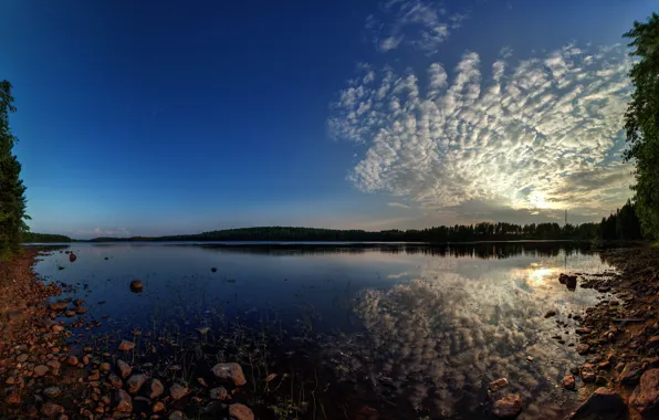 Picture the sky, clouds, landscape, sunset, lake, birch