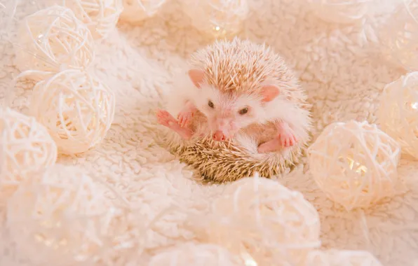 White, look, balls, needles, pose, background, pink, legs