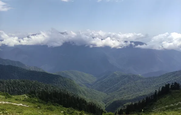 Forest, the sky, mountains, nature, height, meadows, Abkhazia, cloud.
